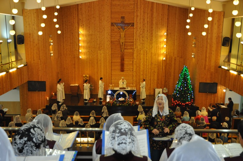 DSC_0232.JPG