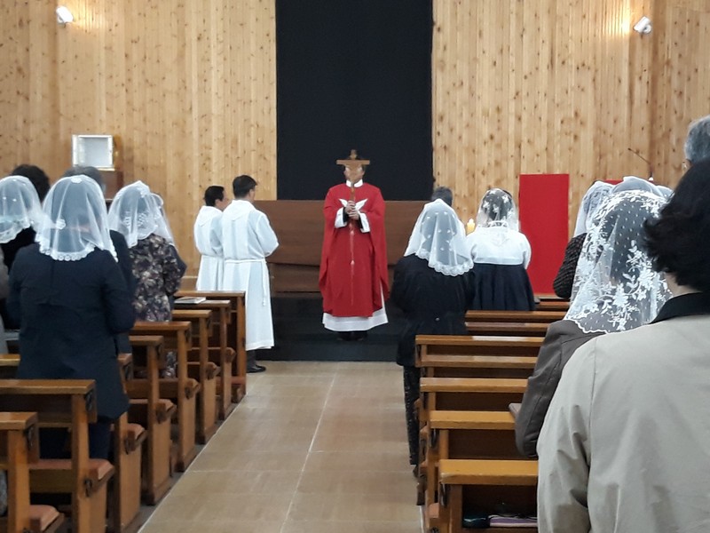 20190419_154854.jpg