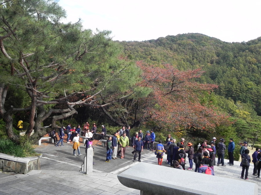 DSCN1778.JPG