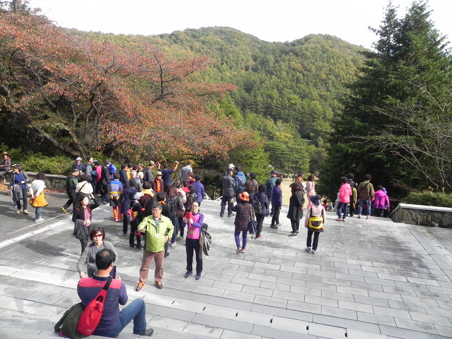 DSCN1779.JPG