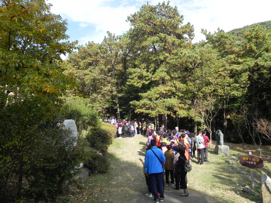 DSCN1781.JPG